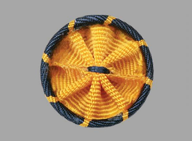 Close-up of the gold and blue American Association for the Advancement of Science rosette pin representing science and engineering, respectively