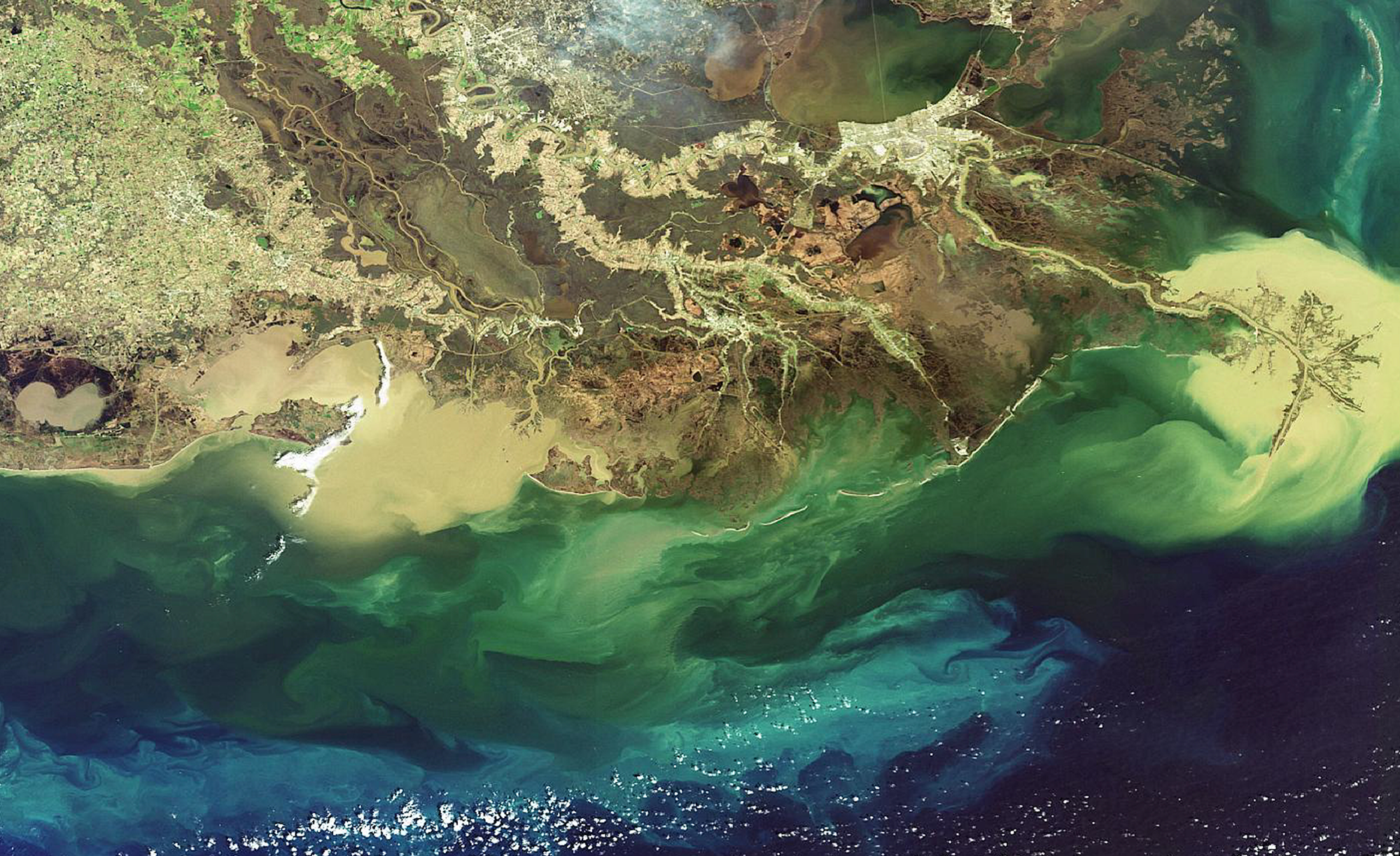 Satellite image of the Mississippi River Delta.