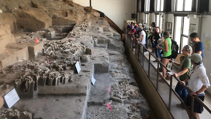 A class stands against the railing of an archaeological site