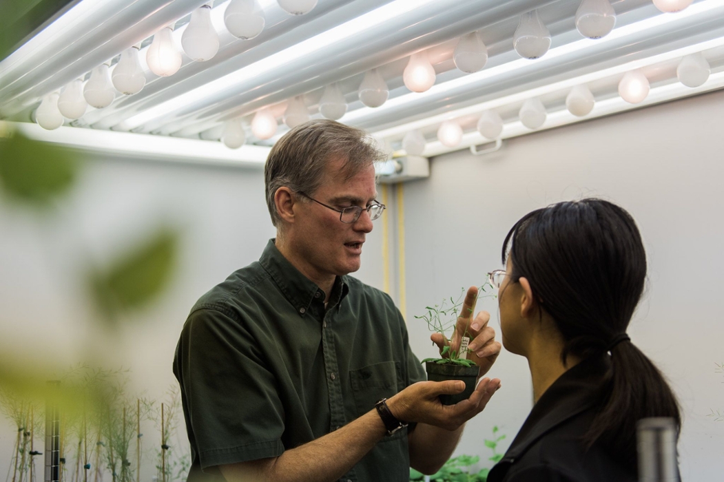 Professor discussing a plant while showing it to a student.