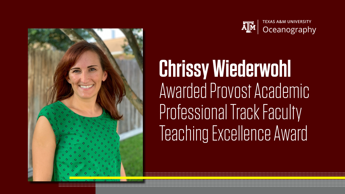 Chrissy Wiederwohl "Awarded provost Academic, Professional Track Faculty, Teaching Excellence award"