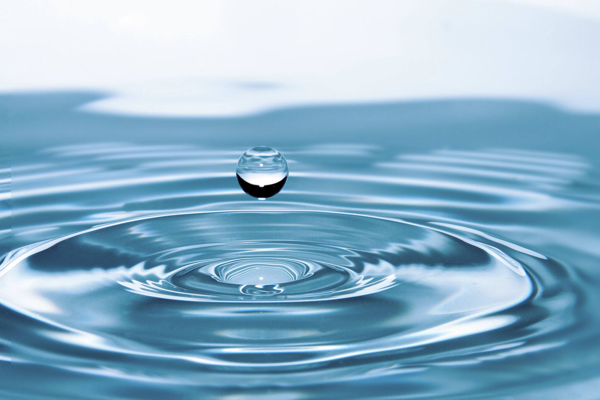 Stock image depicting a water droplet about to break the surface of an already rippled pool of water