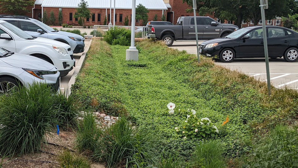 A bioretention area at the Dallas AgriLife Research and Extension Center. 