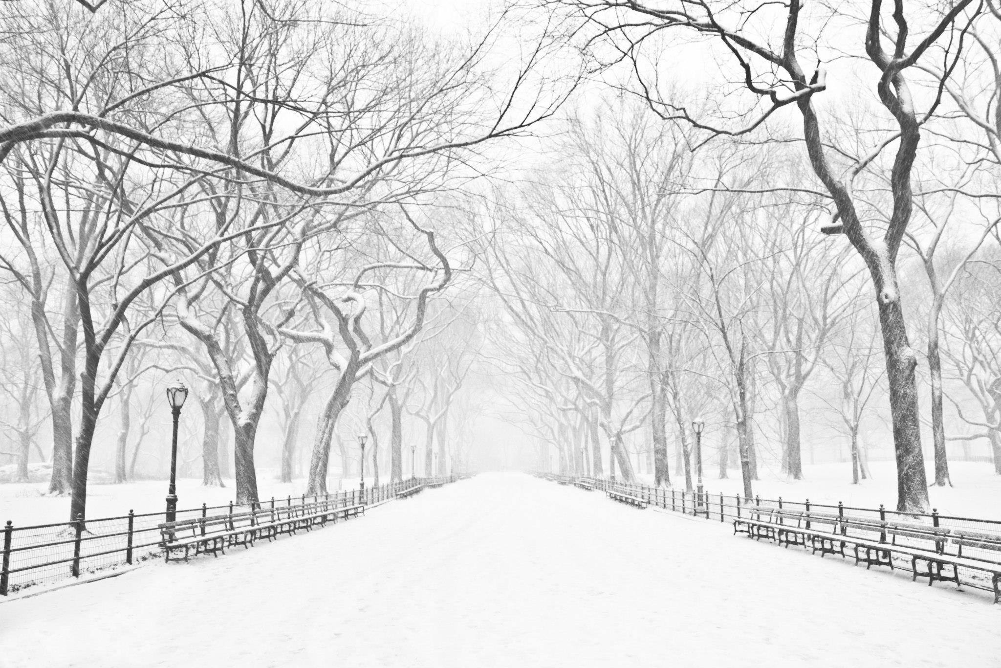 A winter scene featuring a snow-covered road lined by snow-covered fences and leafless trees
