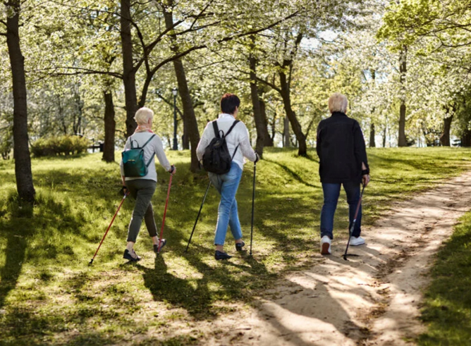 Three women wearing backpacks walking down a trail in a wooded area using walking sticks