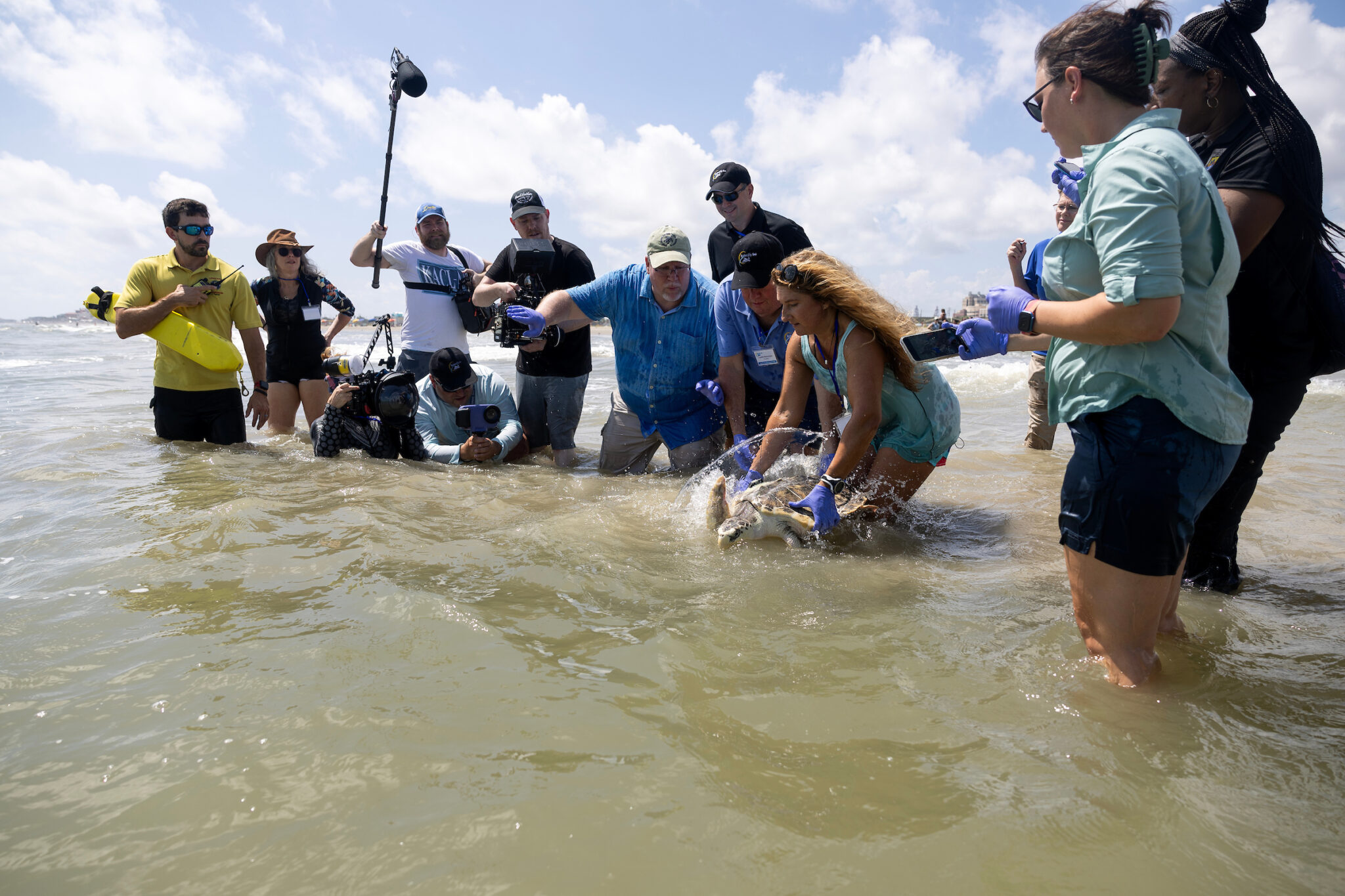 Members of the release team pictured with Tally as she is released into the Gulf of Mexico and begins to swim