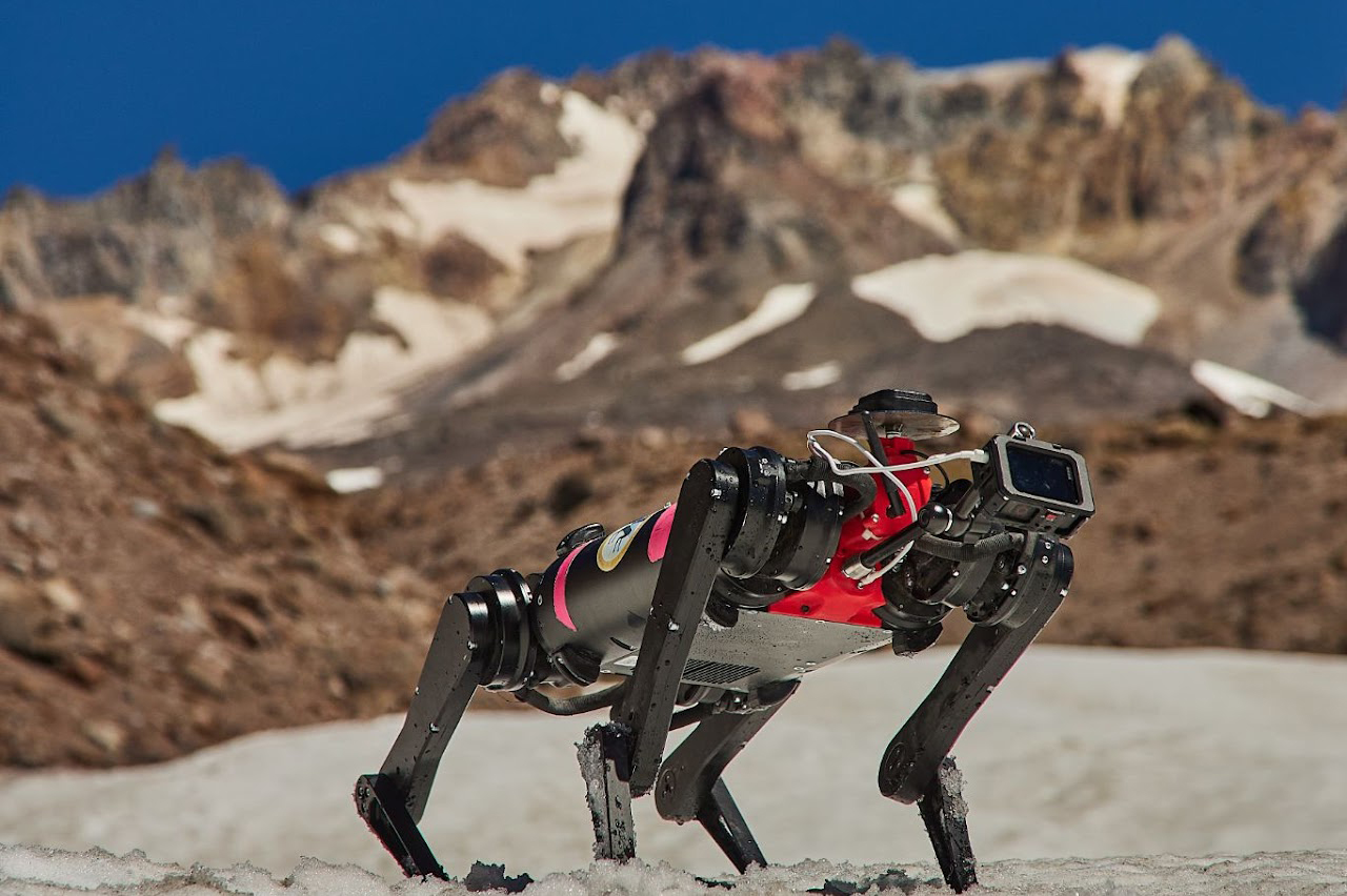 Spirit, a dog-like, four-legged robot created through the NASA-funded LASSIE Project, stands in the sand at Mount Hood in Oregon