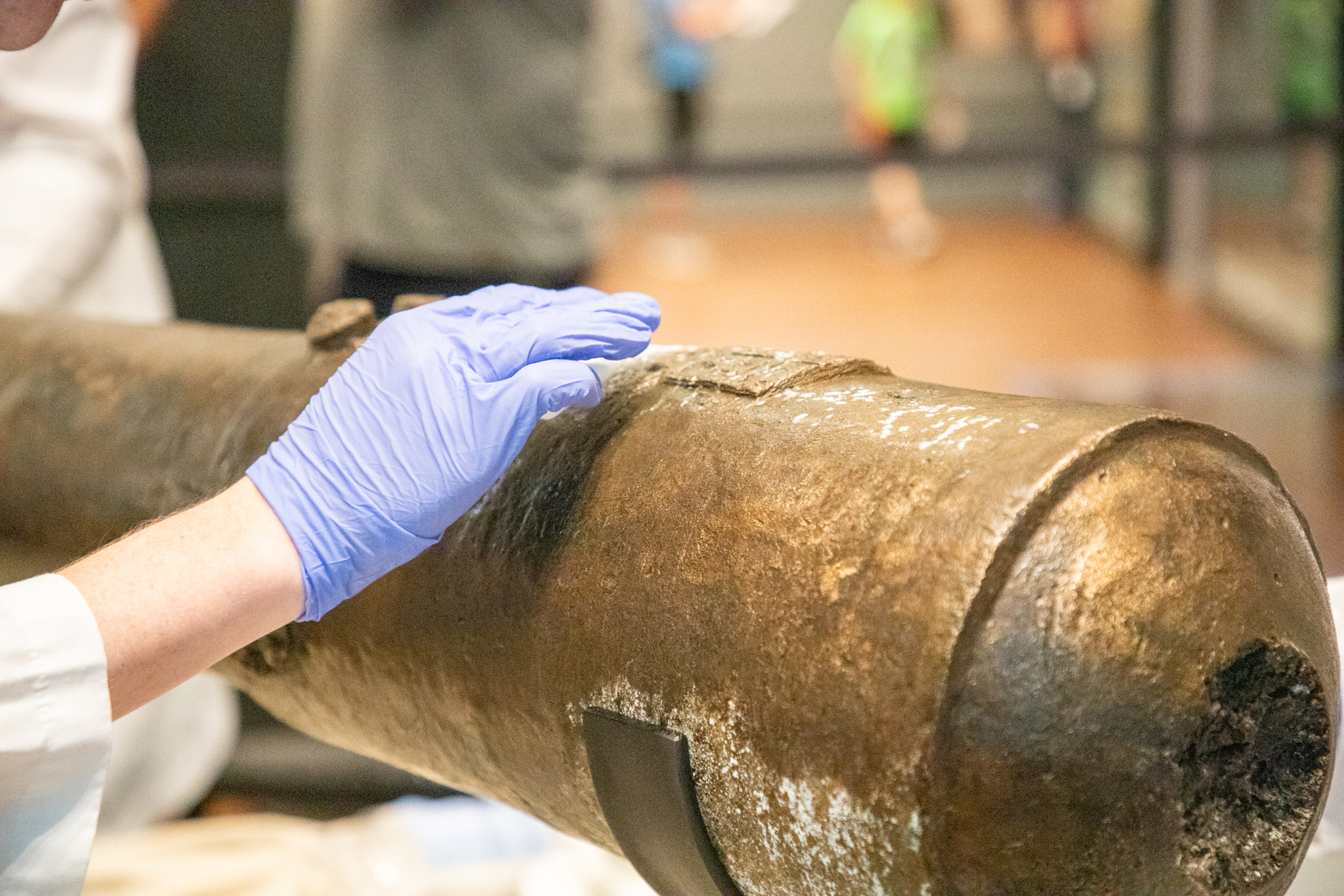 A four-pound bronze cannon used in the Battle of the Alamo, post-acid solution treatment to remove carbonate blooms