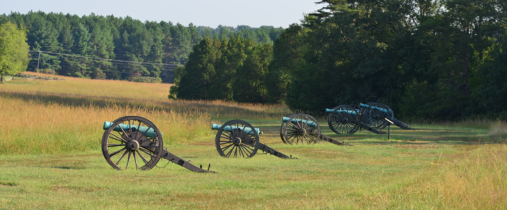 A row of historic cannons at Manassas National Battlefield Park with a backdrop of trees and a grassy field.