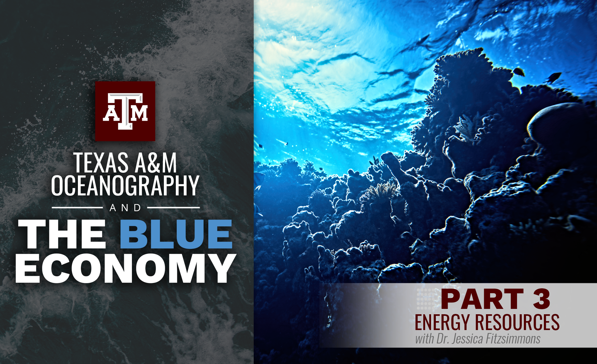 Promotional image for Texas A&M Oceanography's series on The Blue Economy, featuring a vibrant underwater scene with corals and sunlight filtering through the water, titled 'Part 3: Energy Resources with Dr. Jessica Fitzsimmons'.