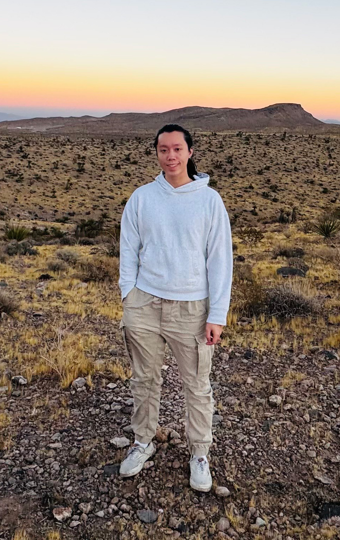 Person standing in a desert landscape at sunset with sparse vegetation and a hill in the background.