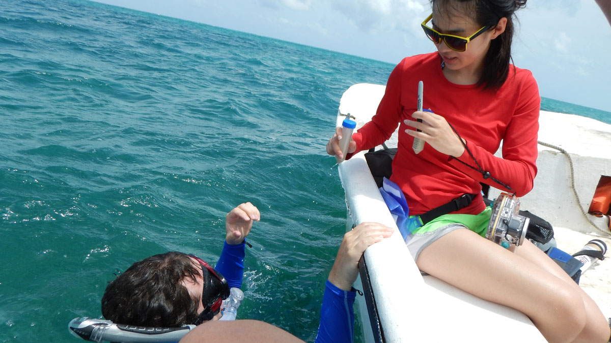 Two persons conduction research in a large body of water.