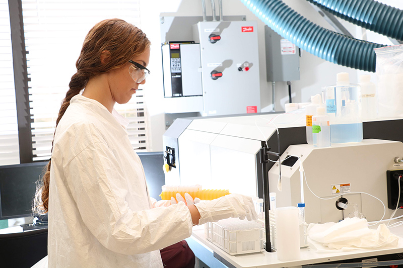 Female researcher working in lab