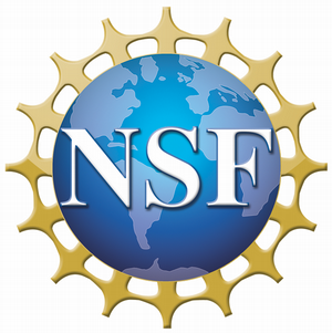 nsf1.png