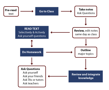Flow chart. Pre-read text then Go to Class then Take notes and ask questions then review, edit notes same day as class, then read text, selectivey and actively ask yourself questions, do homework, outline major topics, ask questions - ask yourself, friends, teaching assistants, teachers, review and integrate knowledge. 