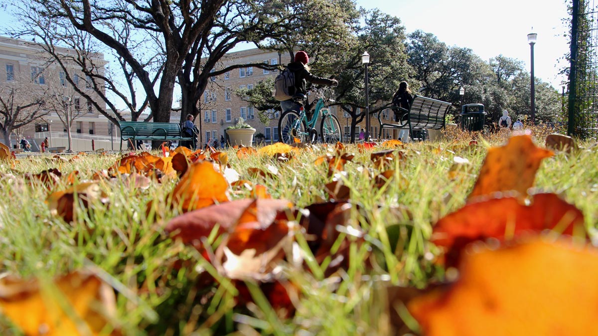A student walking their bike past a patch of grass with fall leaves on the ground