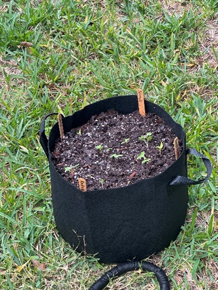 Grow Bag