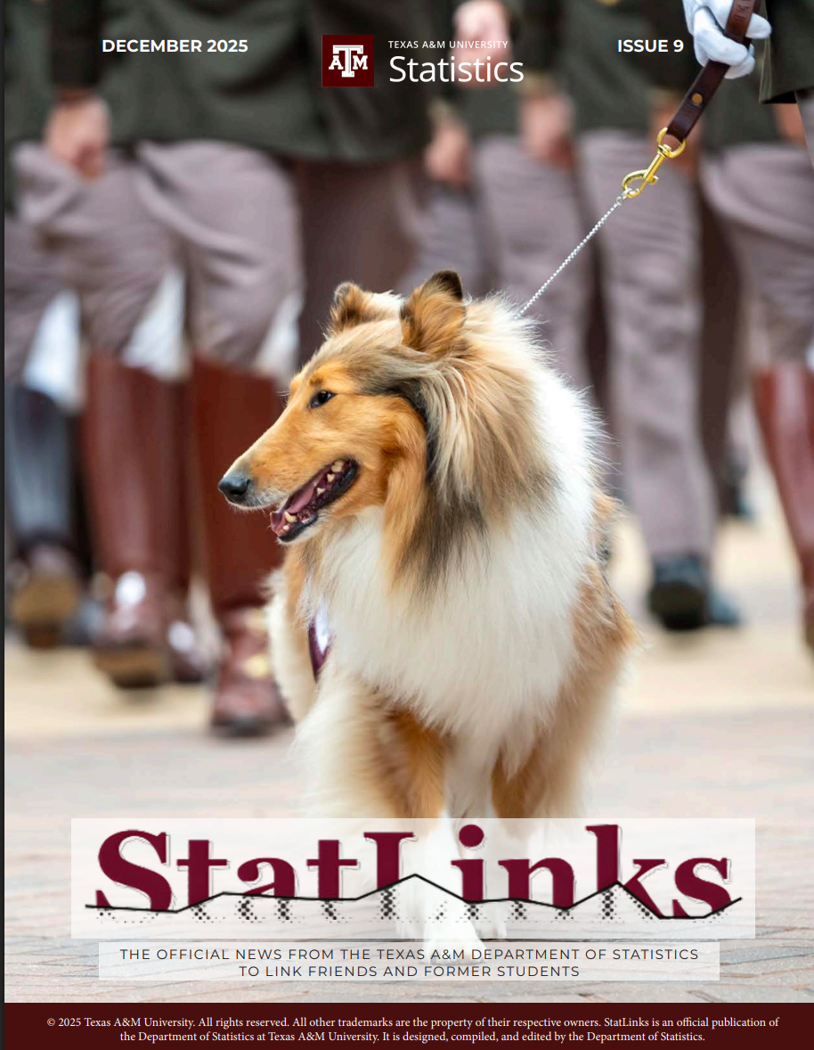 StatLinks 2025 cover